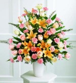 This splendid and formal  arrangement includes 18 peach roses, 24 pink carnations and peach Asiatic lilies with baby blue eucalyptus. All are arranged in a simple  white container.