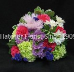 This bouqet is sure to please everyone. A bright selection of eco flowers hand delivered with care by Hatcher's Florist.
