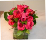 Wild One Hot Pink Cube