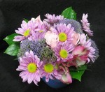 A compact elegant arrangement made of Sierra Eco (organic) flowers. A great gift for someone at the office or in a home. Daily deliveries by our 3rd generation flower shop.