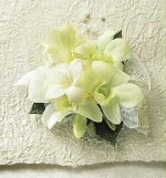 White dendrobium orchids. Simply elegant.