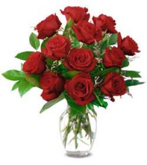 A breathtaking dozen – beautiful red Roses arranged in a vase with assorted greenery.  We use Freedom Red Roses, grown by Hosa in South America.

Let our flower shop deliver your anniversary roses today.