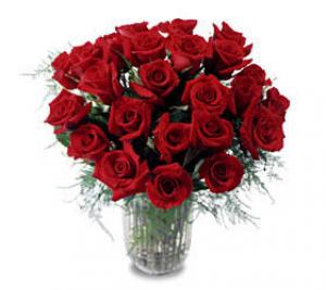 We can deliver 24 red Roses arranged in a vase with mixed greenery. Express your love today and every day!  Our flower shop can send these Sierra Eco Freedom roses for you.