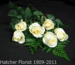 A cream rose by Denmar our Sierra Eco farm in Ecuador. Great for any occasion.