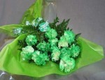 They only come out once a year. Green Carnations. Be Irish for a day, send our lovely Green Carnations.