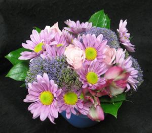 A compact elegant arrangement made of Sierra Eco (organic) flowers. A great gift for someone at the office or in a home. Daily deliveries by our 3rd generation flower shop.