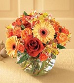 A glass cube holds gerbera, roses, alstroemeria, and assorted greenery.
