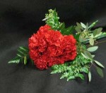 Happy red Carnations, to celebrate the New Year. Prosperity, health, happiness, and good luck. Chinese New Year.
