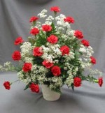 A tribute consisting of Carnations and Million Starr Gypsophilia. You may select mixed colours for your Carnations or choose one colour as in the one pictured with all red Carnations.