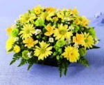 An abundance of flowers in yellows and greens makes a cheerful statement. Yellow daisy and cushion Poms, yellow Alstroemeria and green button Poms are interspersed with green Hypericum berries and white Monte Casino. Pretty as a picture, and ready to decorate an end table or serve as a centerpiece.