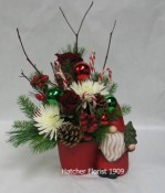 Gnome's Christmas  