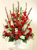 A traditional piece, this arrangement of red carnations, red roses, white Stock and or Snapdragons, larkspur with pink filler flowers in a white plastic urn is perfect for any ceremony where you need a large floral display.
