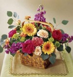 This brightly colored bouquet arrives in a basket and will fill any room with color. Arrangement includes peach spray roses, hot pink ranunculus, orange mini gerbera daisies, purple Stock and more.