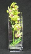 A tall vase with an elegant green Cymbidium ordchid and lily grass.
Use as a centrepiece on a buffet table or a sideboard. Long lasting blooms.