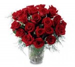 We can deliver 24 red Roses arranged in a vase with mixed greenery. Express your love today and every day!  Our flower shop can send these Sierra Eco Freedom roses for you.