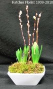 Three Hyacinths in a ceramic planter again. Pussy willows for interest. For NowRuz, or any Spring moveable feast.(8w x 15h)