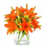 Glowing orange Asiatic lilies are interspersed with bright yellow solidago, lending a warm, cozy air to any room. Great to send a cheery greeting for any occasion!