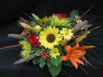 The crisp Fall air heralds a new harvest. Give thanks to Mother Nature. Send Hatcher's Sunny Sunflower arrangement with Asiatic Lilies, Sunflowers, Millet, yellow Dasies, Leucadendron, Eucalyptus, and Bull Rushes. Designed by Bob Hatcher.