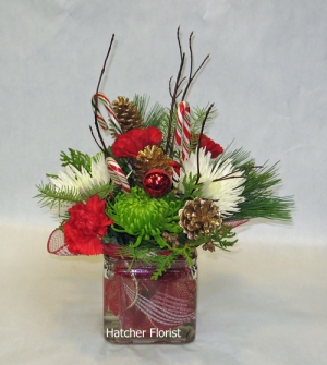 The merriment and excitement of an Elf captured in this Candy cane arrangement. Red Dogwood, gold cones, fire engine red Carnations, and white and green Anastasia chrysanthemums. Red white and gold fabric surround the flowers.