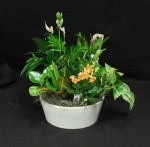 This tropical planter contains flowering mini spathiphyllum, assorted tropical plants, and flowering kalanchoe. We use the freshest plants we have at the time of delivery.