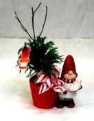 Is this Elton John's gnome?  Norfolk Island pine and a cute, festive gnome make a growing keepsake to enjoy for years. Christmas time deliveries now.