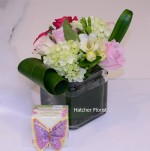 A double gift for the price of one. Nikki's Cinnamon & Sugar Butterfly Shortbread Cookies.Complimented by our " sweet floral cube" roses, aspidistra, Ontario freesia, and hydrangea complete this pretty design. Eco roses and freesia.