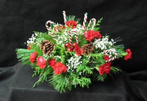 Let your favourite Elf have a candy cane! Festive seasonal greenery and fresh flowers in red and white set off the candy canes. Ho Ho Ho! Hard working Elves, need a sweet treat.