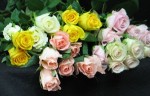 Sweetheart roses for your Sweetheart. No red at this price but a lovely mixture of colours.One of Toronto's oldest family florists selling flowers since 1909.Toronto, North York, and GTA delivery order soon for Valentine's day February 14th.