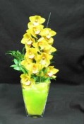 A truly unique arrangement, sure to stand out in a crowd. A lovely stem of *Light Green*, or Yellow Cymbidium orchids, arranged in our heavy glass "Louvre" vase. We wrap the stem in a water proof cloth like material, that adds interest and functionality. A long lasting gift, and keepsake vase.Let Hatcher florist deliver for you