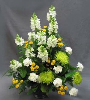 A pewter-coloured vase holds this yellow and white combination. Colours may be changed to suit your requirements. White Snapdragons, green Rivert Chrysanthemums, white Carnations, and sunny yellow Statesman Chrysanthemums make a one-sided arrangement