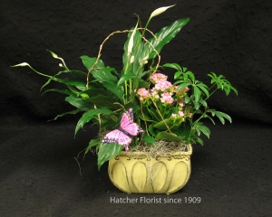 Ceramic planter with a mix of tropical and flowering plants.