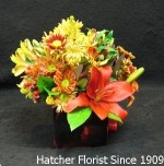 A seasonal mixture of locally grown flowers in a Hatcher Original Design. This arrangement comes in a square vase with asiatic lillies, mums, hypericum berries, alstromeria, and daisies.