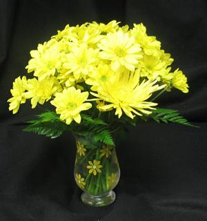 A burst of sunshine with yellow dasies and commercial mums! Cheer up anyone with this Sunburst Bouquet! Keepsake vase with handpainted yellow dasies.