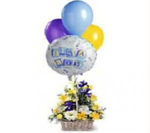 A terrific gift for a new baby boy. A basket full of flowers is finished with 1 mylar and 3 multi-coloured latex balloons in an impressive display. The arrangement includes purple Iris, white Lisianthus, yellow Alstroemeria, and more. Balloon design will vary.
