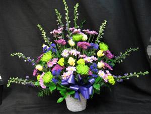 A dramatic tribute with a mix of Larkspur or Sapdragons, green Fuji mums, purple Chrysanthemums, Roses and blue Statice.
