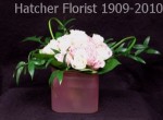 Soft baby pink and white roses for your Baby. Arranged in a pastel pink glass cube. 15 sweetheart roses by Denmar.Delivering Valentine roses in Toronto, North York, and Canada with quality Eco flowers. Your Sierra Eco florist since 1909.