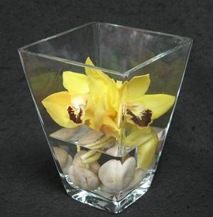 Three hearty Cymbidium orchids, colours varying with availability. Artistically placed on a bed of round beach pebbles in a heavy glass vase. Happy to deliver this for you.