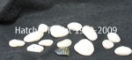 Stones to be placed on the grave, after the burial. Sold by the bag. 20 or so stones. These can be used for a Jewish service.