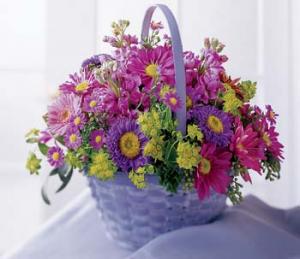 The full spectrum of purple flowers, gathered in a basket.